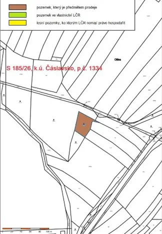 Prodej lesa, Čáslavsko, 1359 m2
