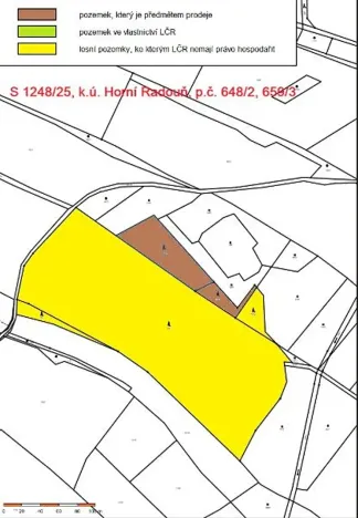 Prodej lesa, Horní Radouň, 4226 m2
