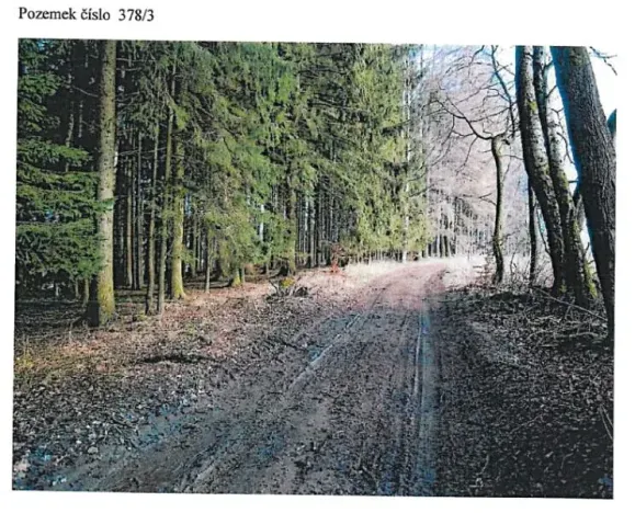 Prodej lesa, Ždírec nad Doubravou, 21716 m2