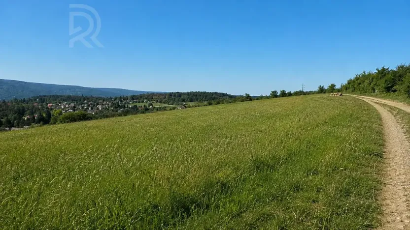 Prodej pole, Vonoklasy, 60172 m2
