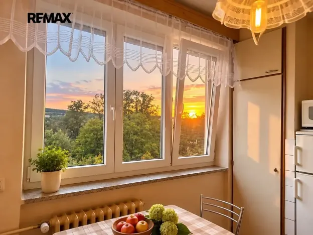 Prodej bytu 2+1, Plasy, Stará cesta, 60 m2