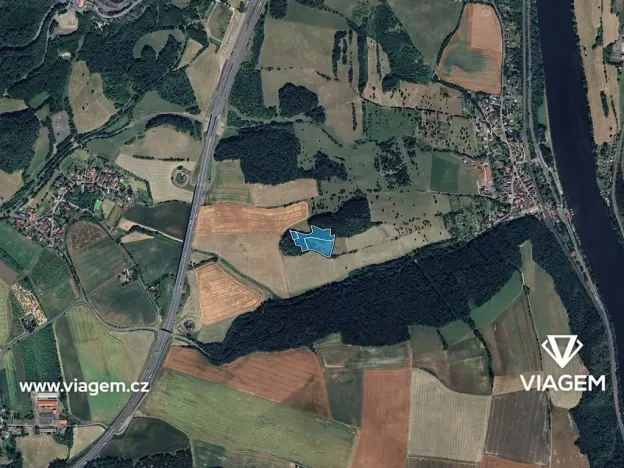 Prodej podílu lesa, Prackovice nad Labem, 2761 m2