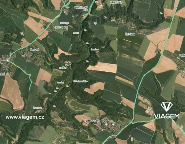 Prodej podílu lesa, Kokořín, 7736 m2