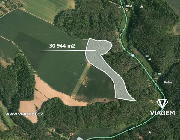 Prodej podílu lesa, Kokořín, 7736 m2