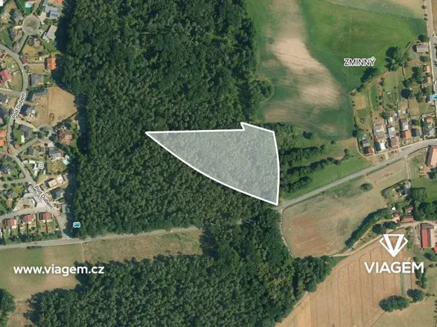 Prodej podílu lesa, Dašice, 5360 m2