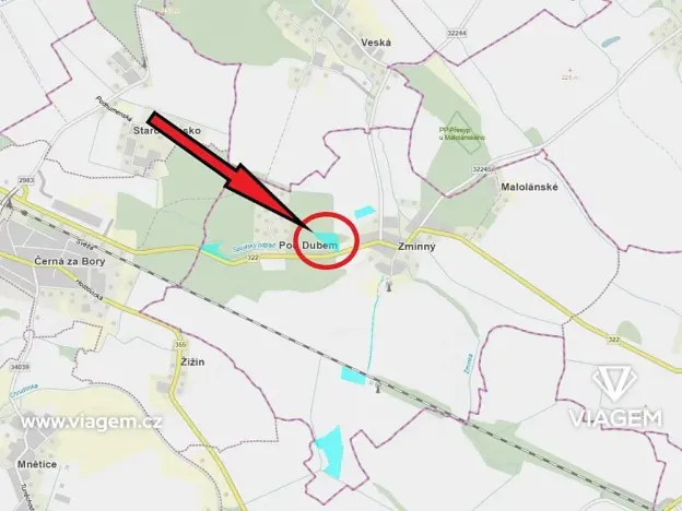 Prodej podílu lesa, Dašice, 5360 m2