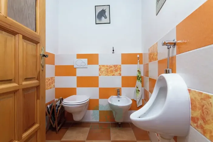 Prodej výrobních prostor, Skomelno, 284 m2