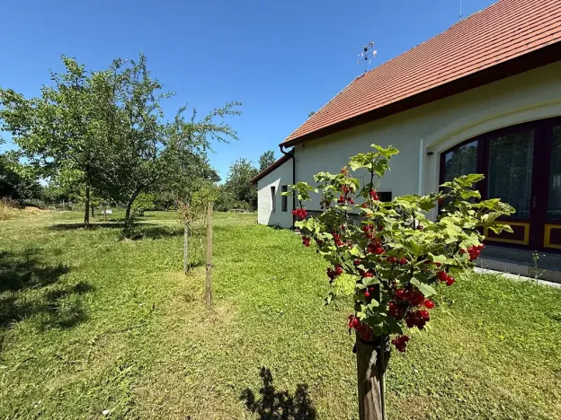 Prodej rodinného domu, Lety, 550 m2