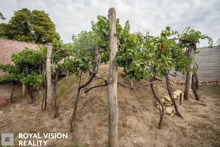 Prodej vinného sklepa, Březí, 76 m2