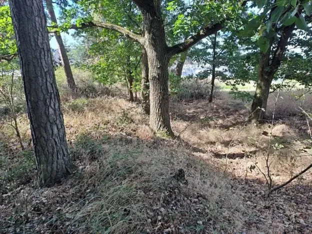 Prodej pozemku, Holýšov, 697 m2