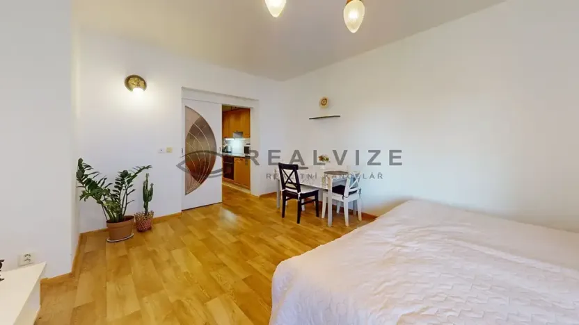 Prodej bytu 2+1, České Budějovice, Holečkova, 52 m2