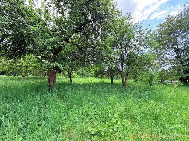 Prodej rodinného domu, Bozkov, 290 m2