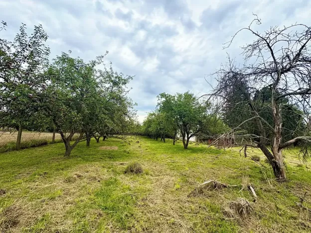 Prodej rodinného domu, Křepenice, 90 m2