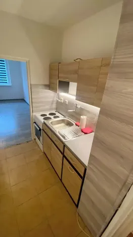 Pronájem bytu 1+kk, Brno, Herčíkova, 29 m2