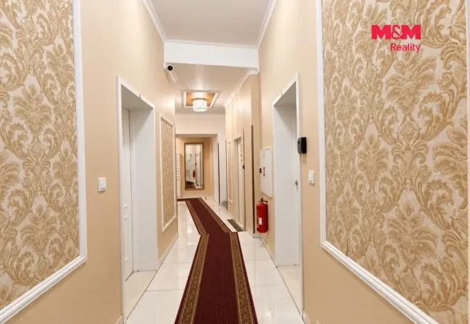 Pronájem bytu 1+kk, Praha - Nové Město, Petrská, 30 m2