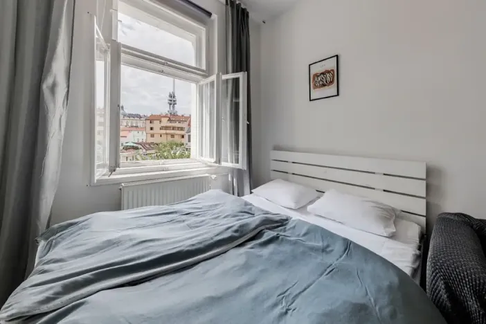 Pronájem bytu 1+1, Praha - Žižkov, Roháčova, 25 m2