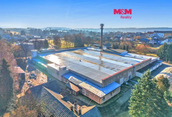 Prodej výrobních prostor, Miletín, Lhotova, 22000 m2