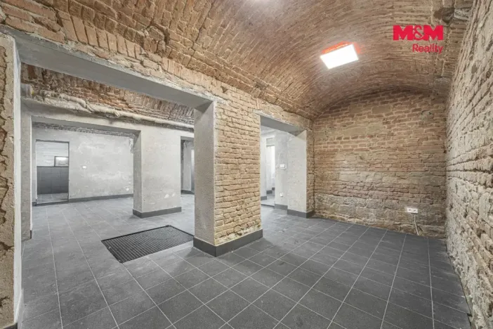 Prodej komerční nemovitosti, Praha, Seifertova, 110 m2