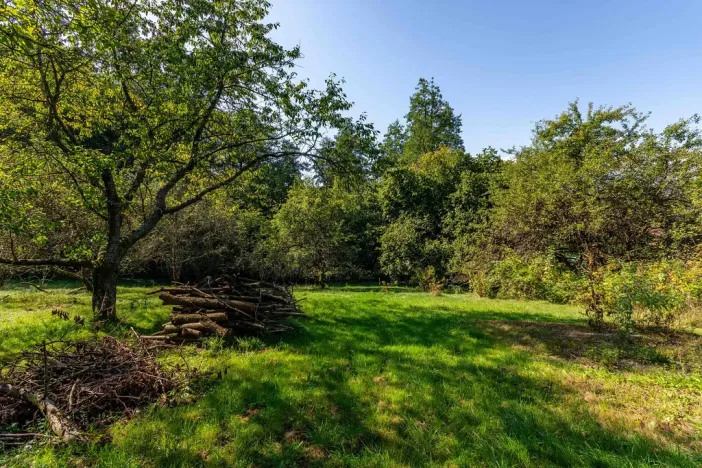 Prodej rodinného domu, Rychvald, Lesnická, 63 m2