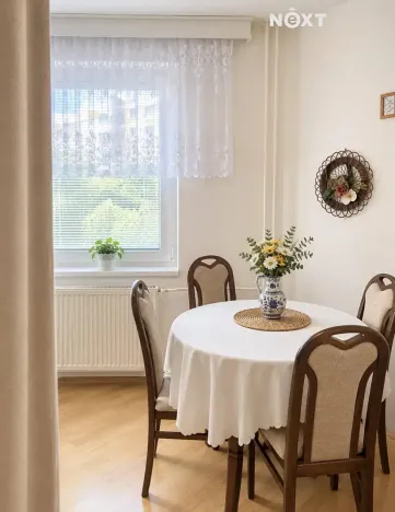 Pronájem bytu 1+kk, Ostrava, Horní, 35 m2