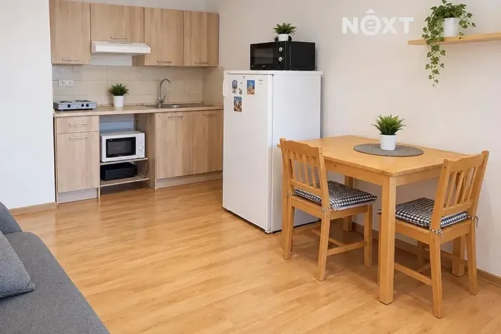 Pronájem bytu 1+kk, Ostrava, U Parku, 30 m2