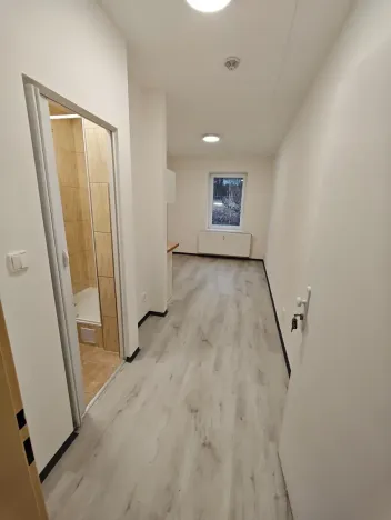 Pronájem bytu 1+kk, Praha - Hlubočepy, Na Zlíchově, 18 m2