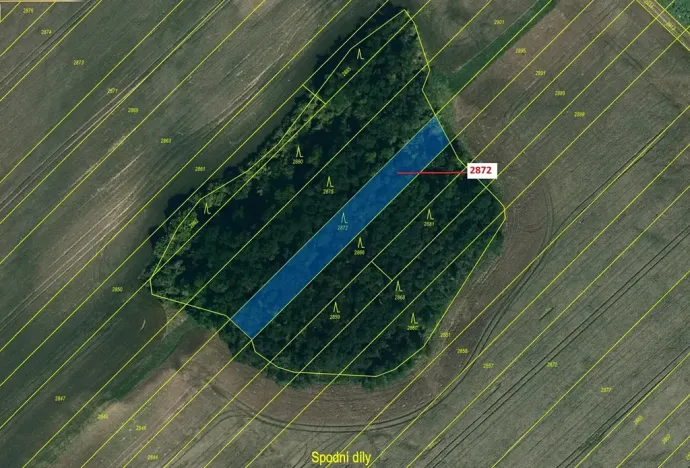 Dražba lesa, Želetice, 1391 m2