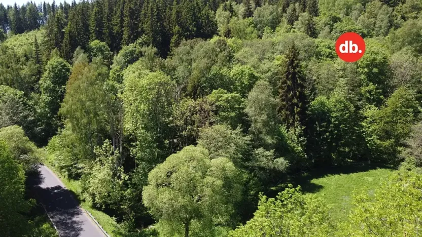Prodej pozemku, Merklín, 3609 m2