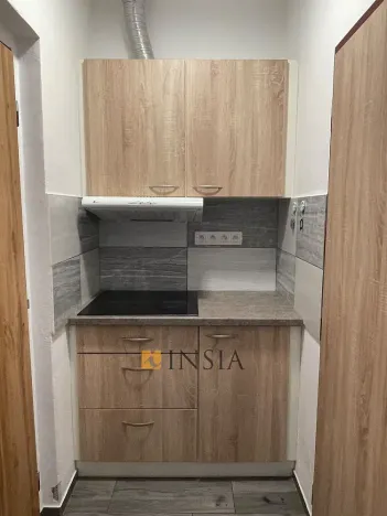 Prodej bytu 1+kk, Český Krumlov - Nové Spolí, 20 m2