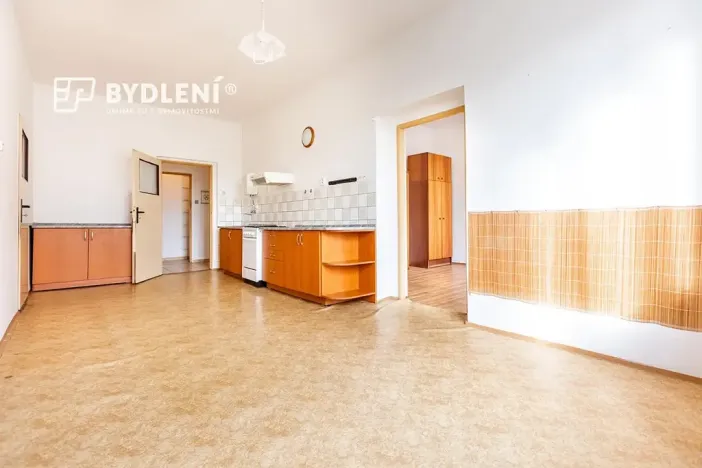 Prodej bytu 2+1, Světec, Kostomlatská, 77 m2