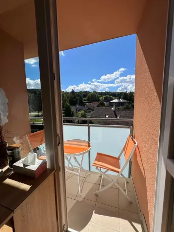 Prodej bytu 1+1, Karlovy Vary, Spálená, 50 m2