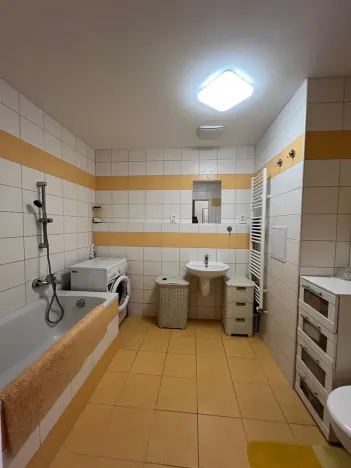 Prodej bytu 1+1, Karlovy Vary, Spálená, 50 m2
