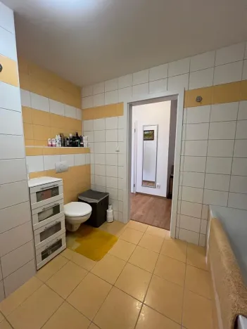 Prodej bytu 1+1, Karlovy Vary, Spálená, 50 m2