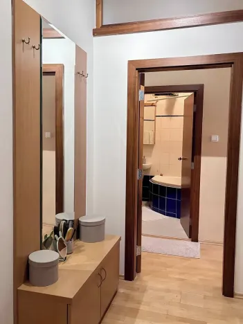 Prodej bytu 1+1, Praha - Vinohrady, Anny Letenské, 50 m2
