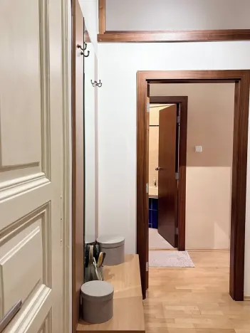 Prodej bytu 1+1, Praha - Vinohrady, Anny Letenské, 50 m2