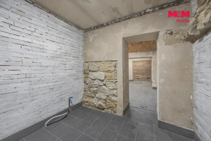 Pronájem komerční nemovitosti, Praha, Seifertova, 100 m2