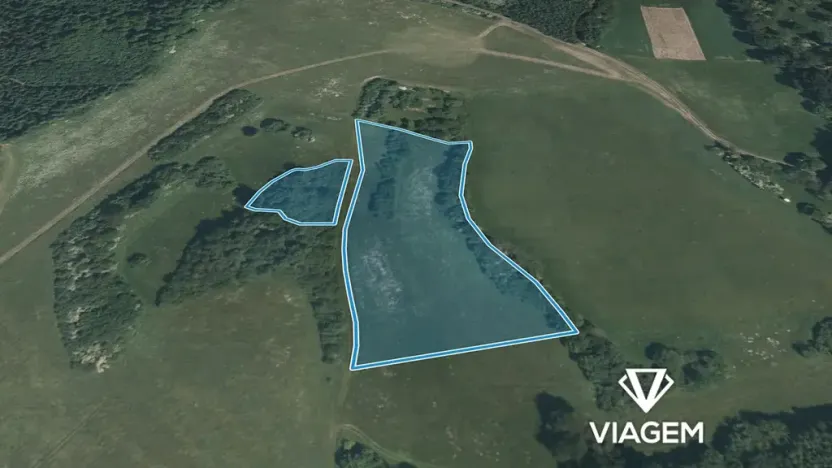 Prodej podílu pole, Plánice, 8040 m2