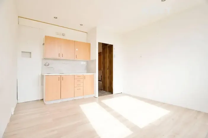 Pronájem bytu 1+kk, Žatec, Ostrov, 20 m2