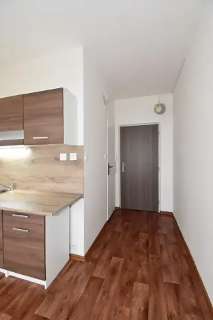 Prodej bytu 1+1, Chomutov, Písečná, 35 m2