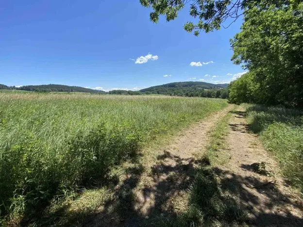 Prodej pole, Kájov - Křenov, 41229 m2