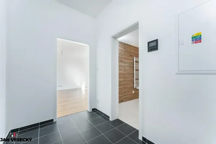 Prodej bytu 1+kk, Plzeň, Železná, 34 m2