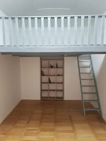 Pronájem bytu 1+kk, Praha - Žižkov, Hájkova, 40 m2