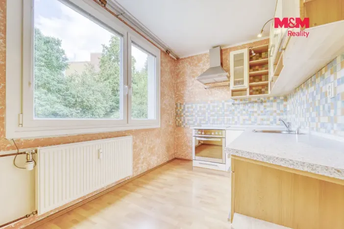 Pronájem bytu 1+1, Plasy, Potoční, 38 m2