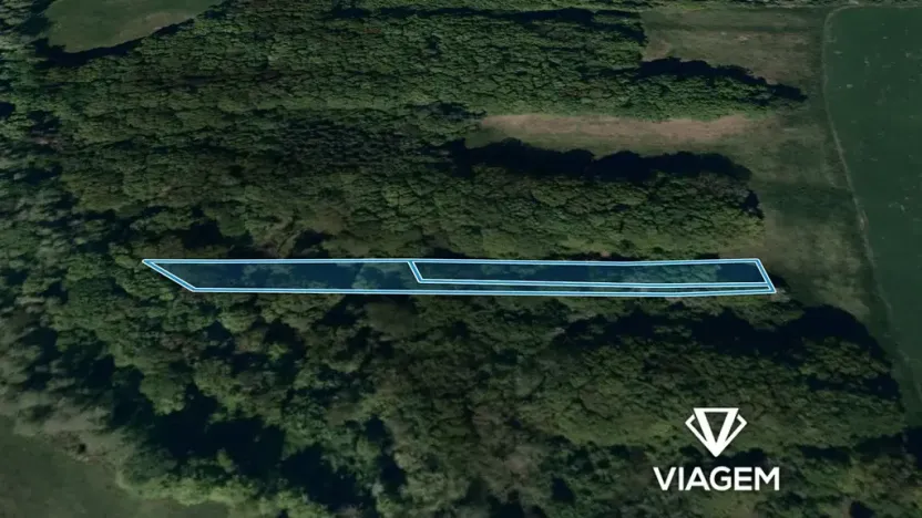 Prodej podílu lesa, Velký Ořechov, 1100 m2
