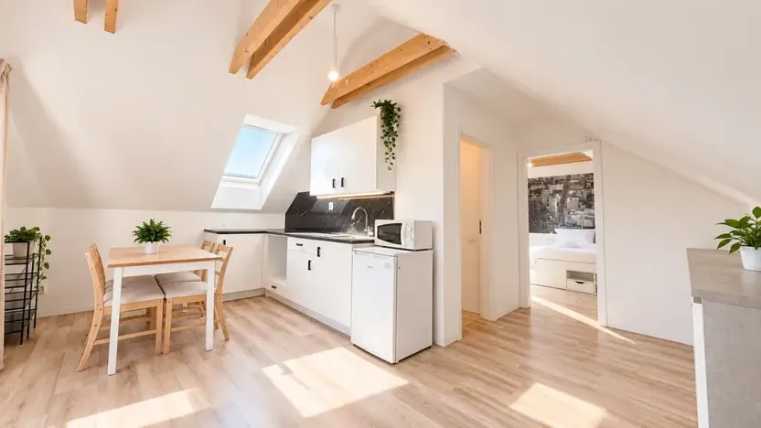 Pronájem bytu 2+kk, Bříství, 45 m2