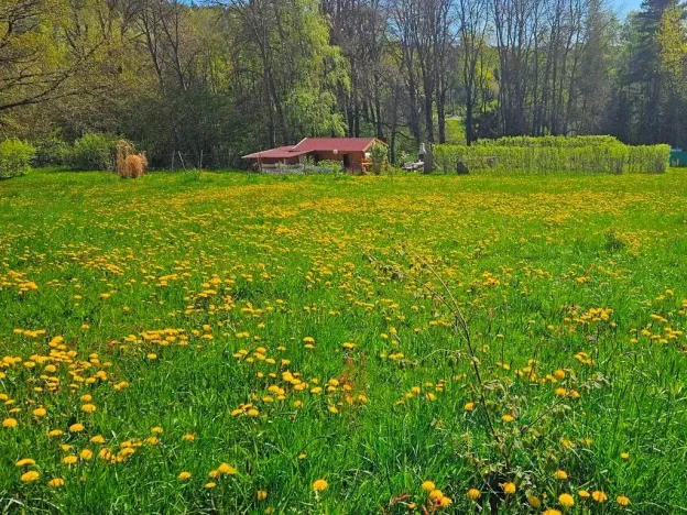Dražba pozemku pro bydlení, Omlenice, 4505 m2