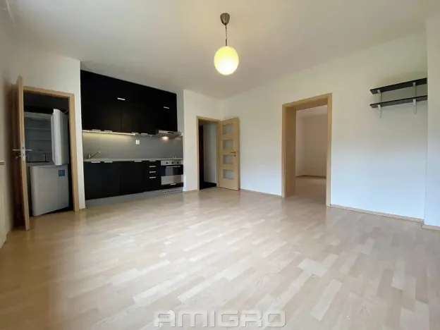 Pronájem bytu 2+kk, Brno, Obilní trh, 46 m2