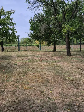 Prodej rodinného domu, Bukovany, 70 m2