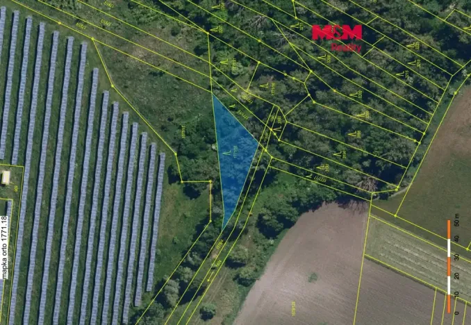 Prodej lesa, Šakvice, 815 m2