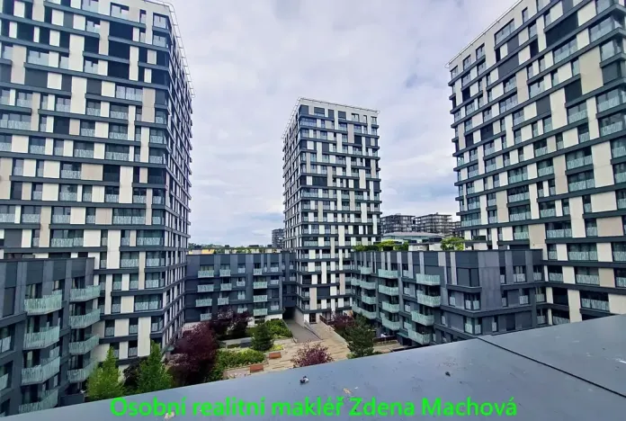Pronájem bytu 1+kk, Praha - Žižkov, Olšanská, 40 m2